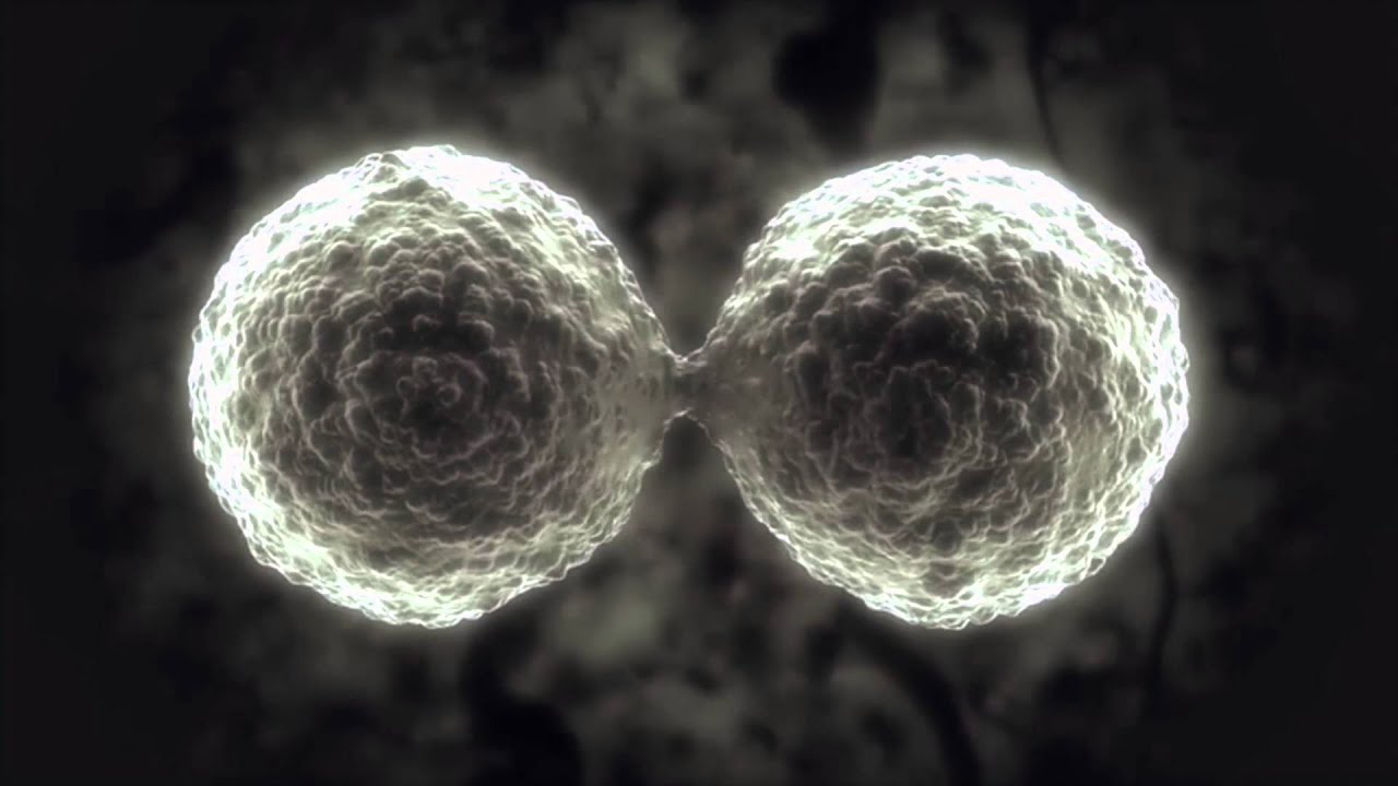 Mask vs Virus — interactive art piece
